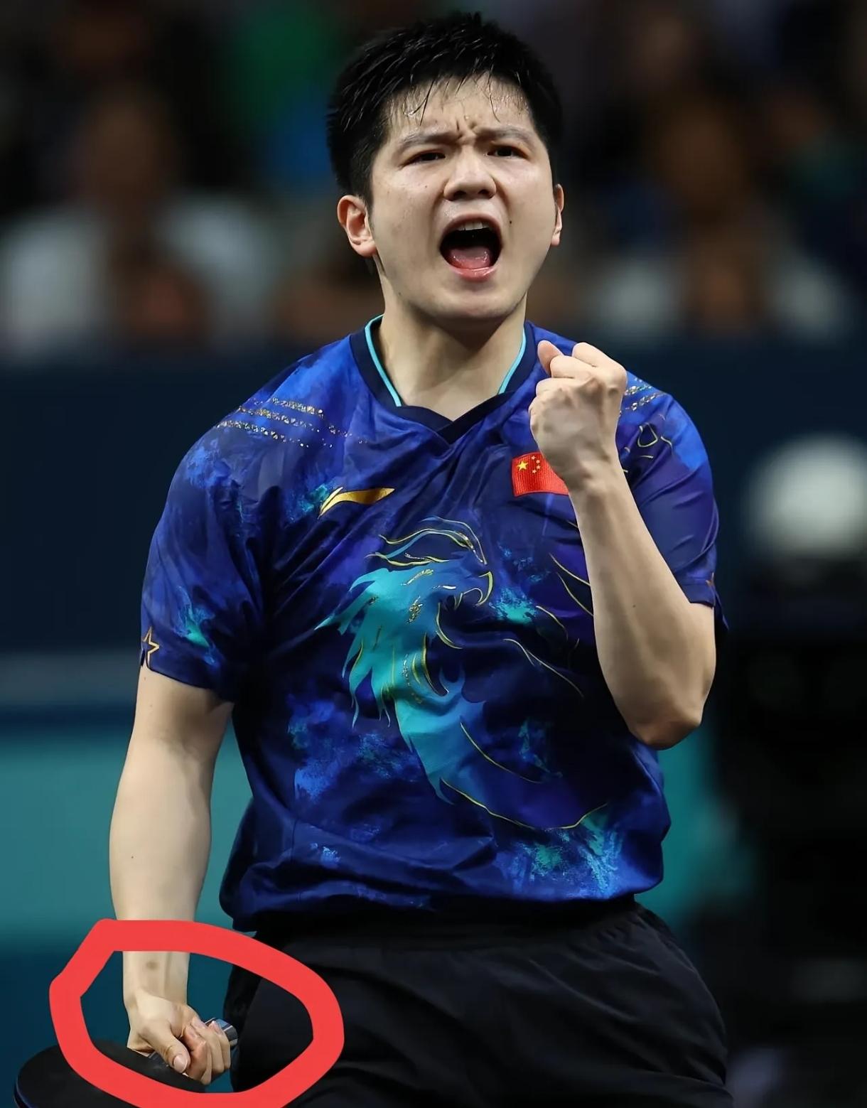 日本乒乓球队逆转韩国乒乓球队，樊振东送出助攻的简单介绍