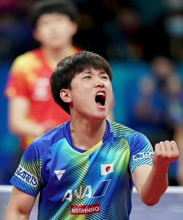 法国乒乓球队强势中国乒乓球队,张本智和制霸全场的简单介绍 法国乒乓球队强势中国乒乓球队,张本智和制霸全场的简单介绍