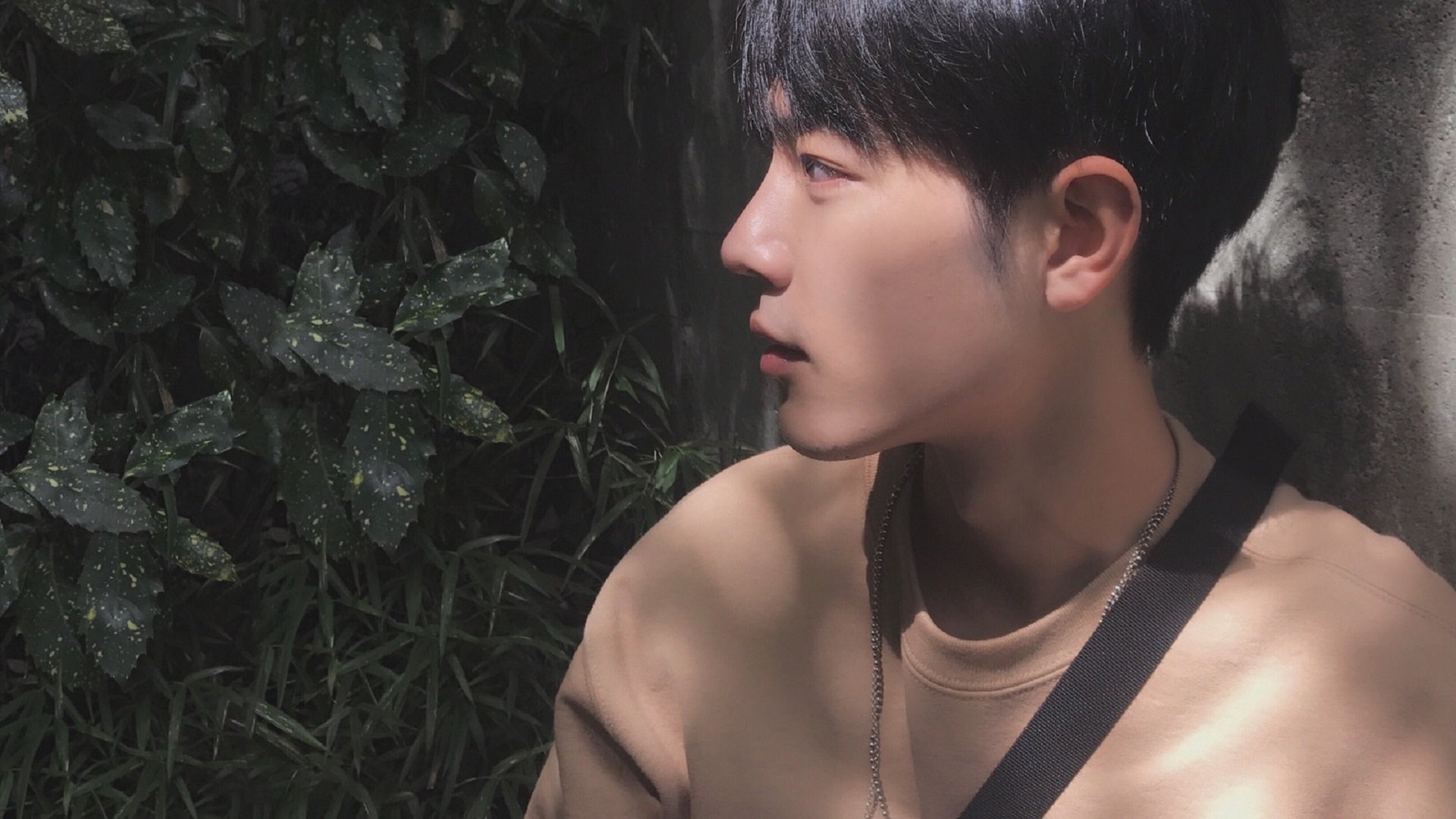 王朝更迭,红牛二队如何将昔日霸主雷诺碾作尘埃,而阿隆索又为何能老骥伏枥惊艳四座?