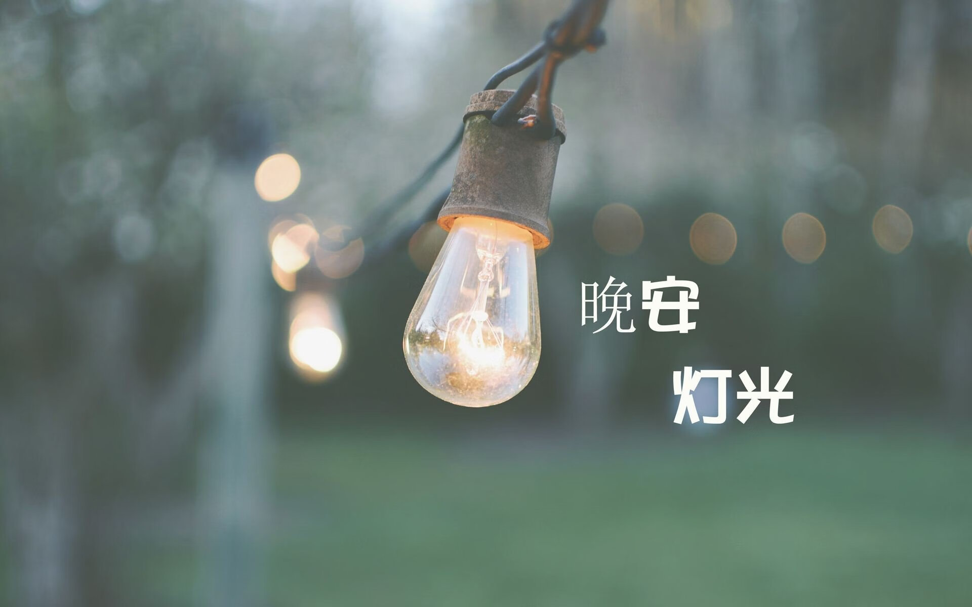 黑马狂啸！孔德天神下凡，哥斯达黎加撕裂非洲雄狮强势晋级